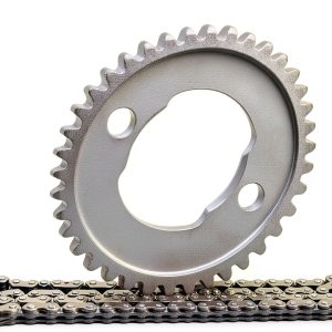 ZOZOYE Cam Timing Chain & 38T Sprocket for Honda TRX300 1988-2000-0