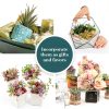 Shop Succulents Assorted Mini Succulent Plants Pack of 20 for Wedding-3