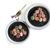 Lithops Succulent Plants 10 pcs Bare Root Random Mix Rare Succulents-6
