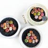 Lithops Succulent Plants 10 pcs Bare Root Random Mix Rare Succulents-8