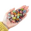 2021EASYBUY Rare Mixed Succulent Seeds 200pcs Colorful Indoor Outdoor-1