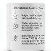 Green Circle Growers Live Christmas Cactus in 6-Inch Decorative Pot – Holiday Blooming Houseplant, Easy Care Indoor Décor-4