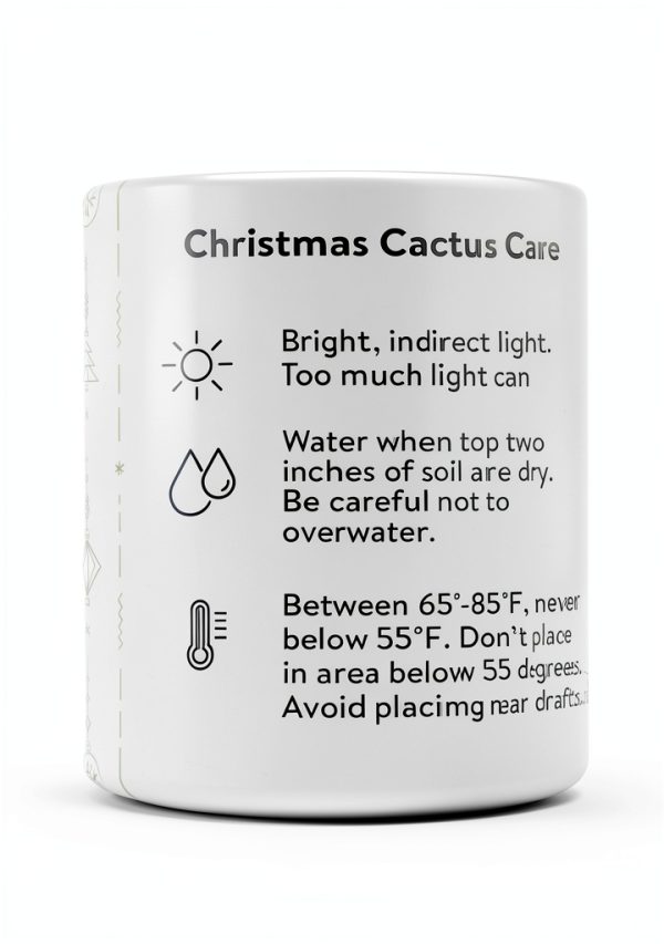 Green Circle Growers Live Christmas Cactus in 6-Inch Decorative Pot – Holiday Blooming Houseplant, Easy Care Indoor Décor-4